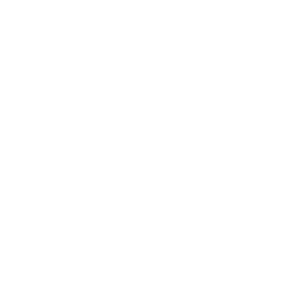 White colored brain icon