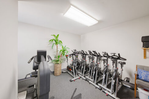 Move Your Mountain cycling bikes.