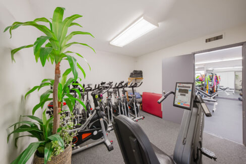 Move Your Mountain cycling bikes with plants next to them.