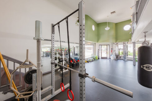 Move Your Mountain pull up bars and rings.