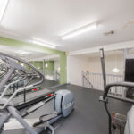 Move Your Mountain treadmills