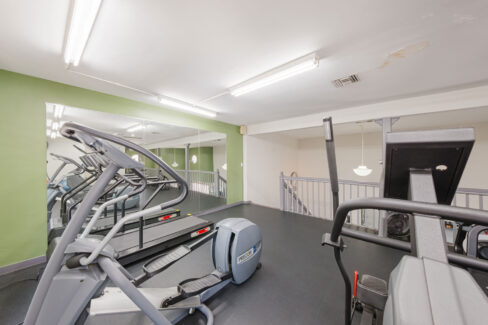 Move Your Mountain treadmills